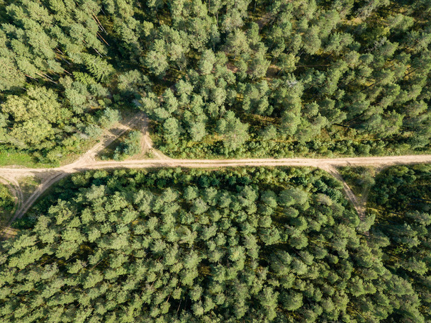 зображення безпілотника. вид на сільську гравійну дорогу в зеленому лісі і дерева з тінями зверху в сонячний літній день. латвії
 - Фото, зображення