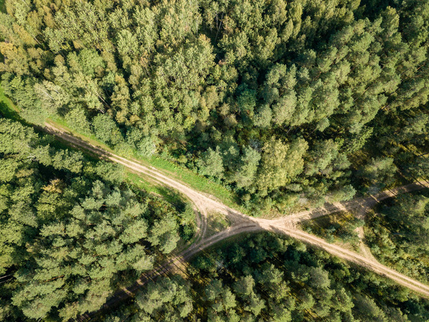 drone image. aerial view of rural gravel road in green forest and trees with shadows from above in sunny summer day. latvia - Photo, Image