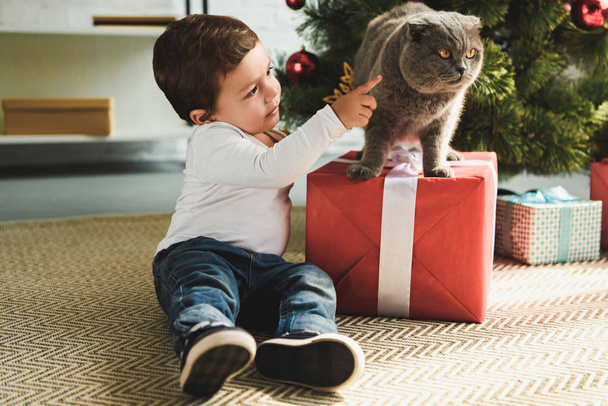 adorable boy playing with cat on gift box near christmas tree - Photo, image