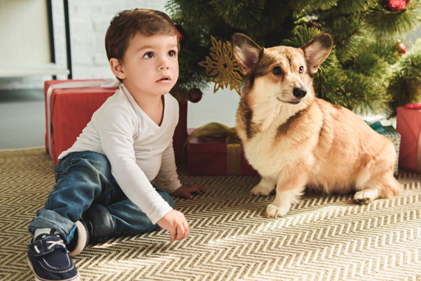 adorable boy and dog sitting under christmas tree - Φωτογραφία, εικόνα