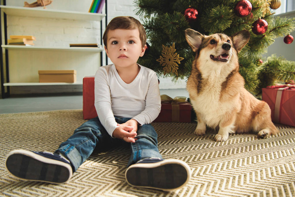 маленький хлопчик і пемброк валлійський собака Коргі сидить під ялинкою
 - Фото, зображення