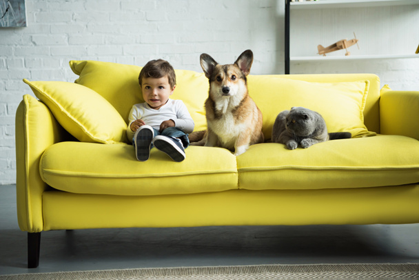 adorable enfant avec chien et chat assis sur un canapé jaune à la maison
 - Photo, image