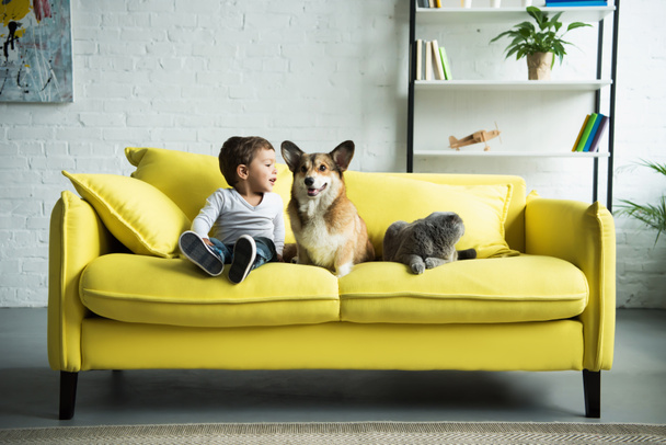 niño feliz sentado en un sofá amarillo con mascotas
 - Foto, Imagen