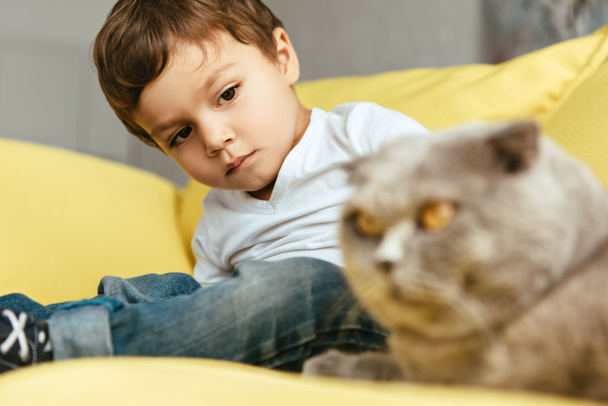 selective focus of little boy looking at cat - 写真・画像