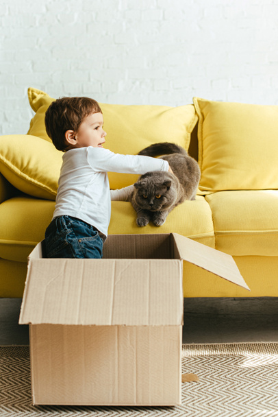 little cute boy playing with cat in cardboard box at home - Foto, Imagem