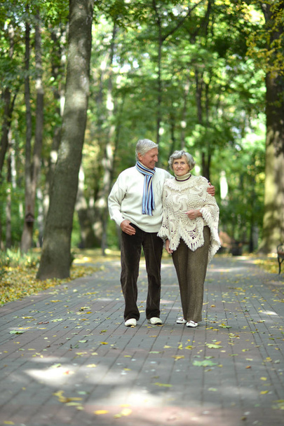 pretty elderly couple - Photo, image