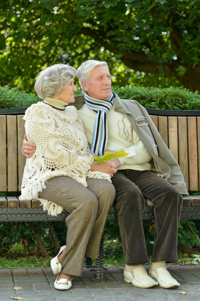 Elderly couple  in autumn park - Photo, Image