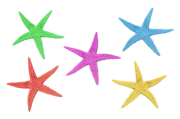 five colorful starfish on a white background - Photo, Image