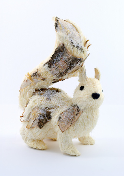 mókus fehér háttér - Fotó, kép