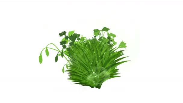 4 k 緑豊かな花葉低木の茂みの植物の草の成長作物. - 映像、動画