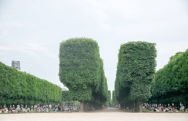 Paříž, francouzské - 07 června 2017: Lidé si den v Lucemburské zahrady v Paříži. Lucemburský palác je oficiální rezidencí francouzského senátu - Fotografie, Obrázek