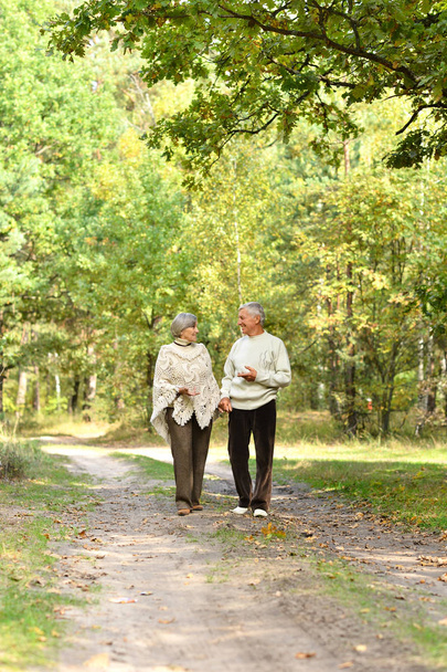 Old couple at park - Photo, Image