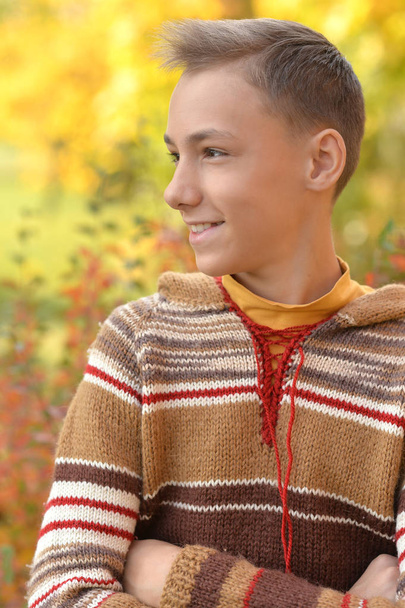 Portrait of happy boy in autumn park - Foto, imagen