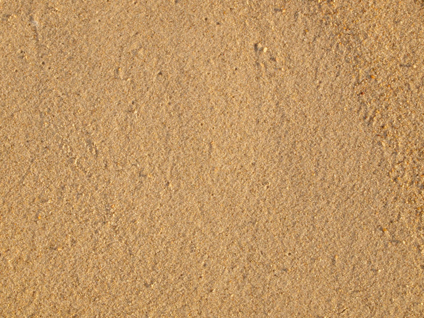 Seamless sand background close up - Photo, Image