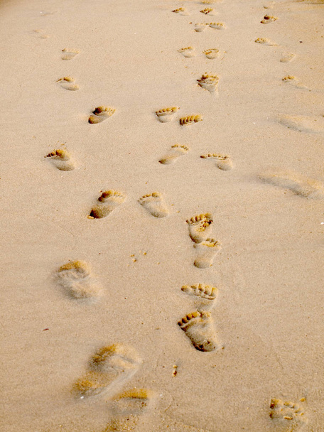 ίχνη στην άμμο - Φωτογραφία, εικόνα