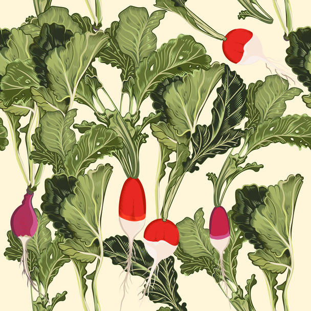 Food vegan pattern vector in vintage style with radish - Vettoriali, immagini