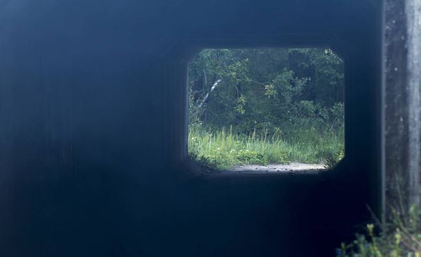 Piękny tunel przez tory kolejowe od zielone gałęzie z bliska - Zdjęcie, obraz
