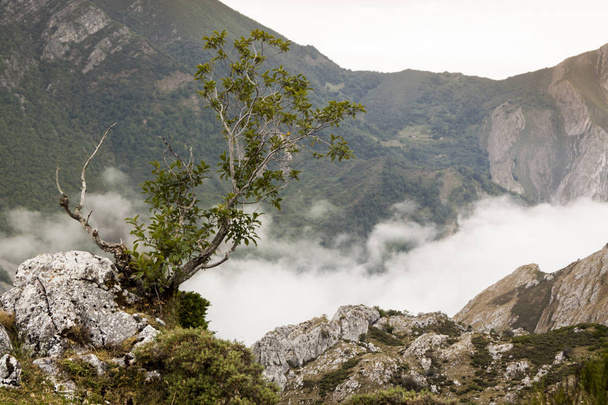 Parc Naturel de Somiedo dans les montagnes des Asturies, Espagne
 - Photo, image