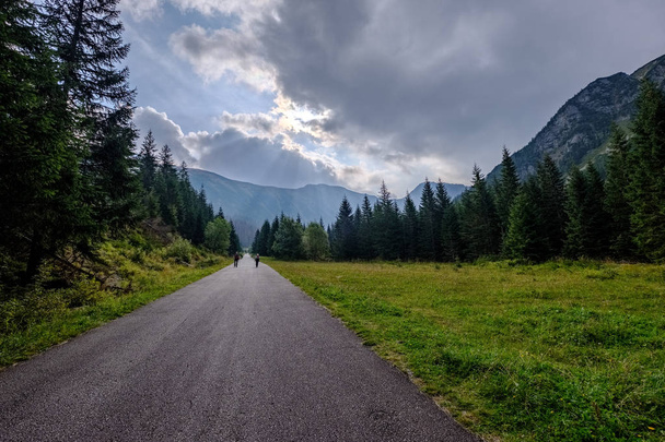 асфальтована дорога, що веде до гір у лісі. літній час у Словаччині, хвилясті лінії та перспективи
 - Фото, зображення