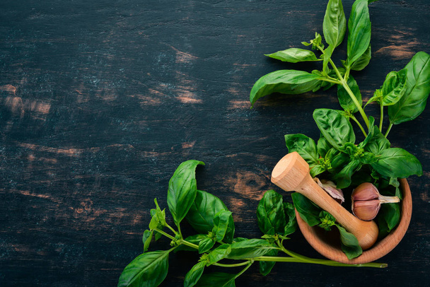 Fresh green basil. Top view. On the background. Free space for text. - Fotografie, Obrázek