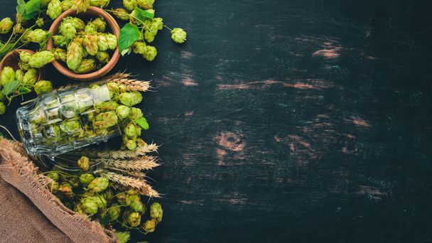 Hops and wheat. On a black wooden table. Free space for text. Top view. - 写真・画像