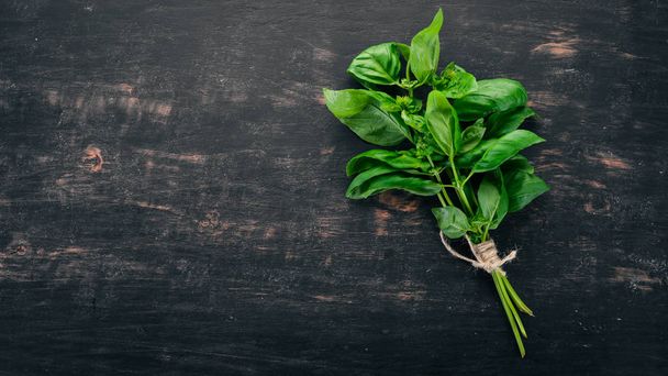 Fresh green basil. Top view. On the background. Free space for text. - Foto, imagen