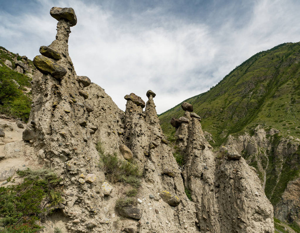 Nature of Altai mountains - Foto, Imagen