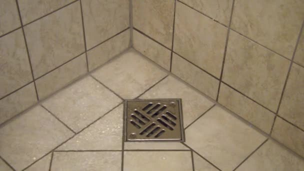 Wasser aus einer Dusche fällt auf den Boden und gelangt in den Abfluss einer Duschkabine - Filmmaterial, Video