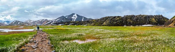 Krásné barevné sopečné hory Landmannalaugar v Islandu a turisty, letní čas, panorama - Fotografie, Obrázek