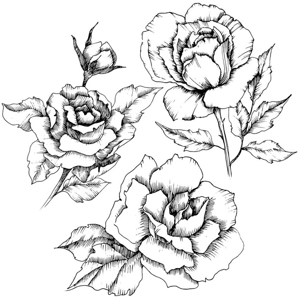 Rosenblüte im Vektorstil. Der vollständige Name der Pflanze: Rose. Vektorblume für Hintergrund, Textur, Wrappermuster, Rahmen oder Rahmen. - Vektor, Bild