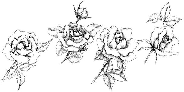 Ruusu kukka vektorin tyyliin. Eristetty kuvituselementti.Laitoksen koko nimi: Rose. Vektori kukka tausta, rakenne, kääre kuvio, runko tai reunus
. - Vektori, kuva