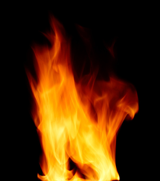 flame - Zdjęcie, obraz