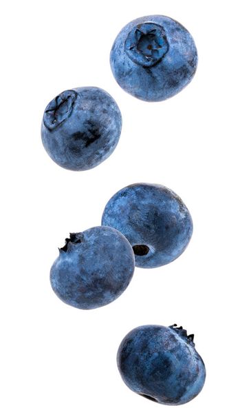 Falling blueberries isolated on a white background. - Photo, Image