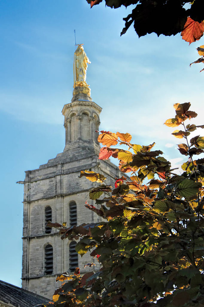 Virgin Mary statue in Avignon,  France avec autumn leaves - Photo, Image