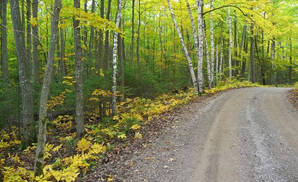 Осенняя гравийная дорога
 - Фото, изображение
