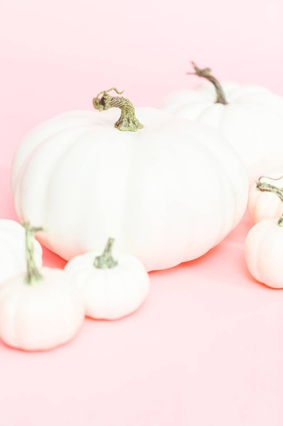 White craft pumpkins of different sizes on a pink background. - Photo, image
