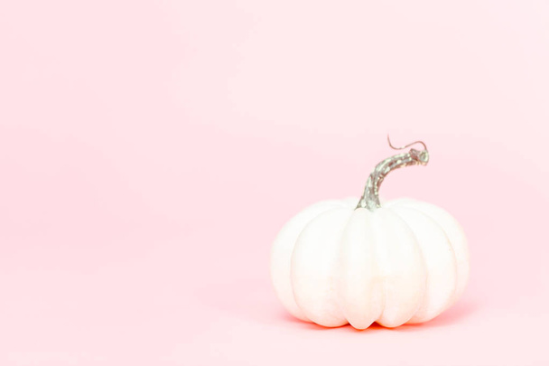 White craft pumpkins of different sizes on a pink background. - Photo, Image