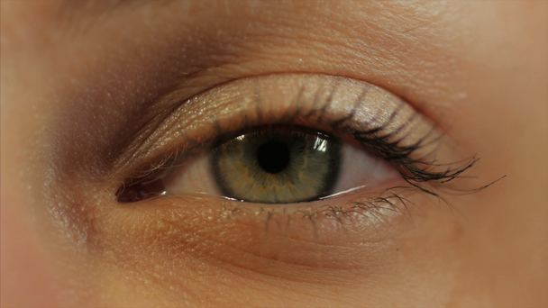 Ekstremalnych bliska tęczówki oka ludzkiego w 4k Uhd wideo. Ludzkie oko Umawiające się tęczówki. Ekstremalnych bliska. 4 k Uhd 2160p materiału. - Materiał filmowy, wideo