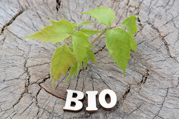 The word BIO is made of wooden letters on an old stump beside a young green sprout. Concept of nature protection and ecology. - Photo, Image