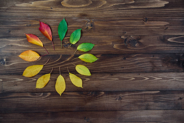 Natural watch from autumn leaves. Clock concept. Autumn leaves transition from green to red on wooden background. Concept change of season. - Photo, Image