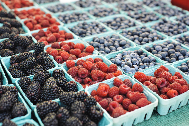 Filas de coloridas moras, frambuesas y arándanos en un puesto de mercado de agricultores
 - Foto, Imagen