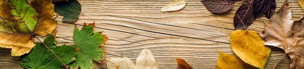 Golden Autumn, frame, fallen leaves, wooden background, concept, copy space, long banner - Photo, Image