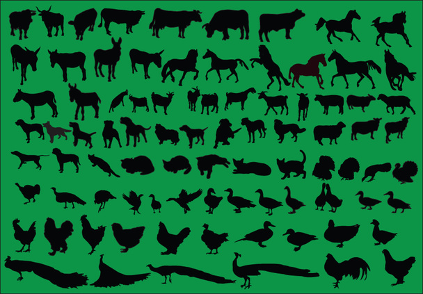Farm animal collection - Vector, Image