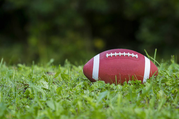 American Football on the field with green grass - Photo, Image