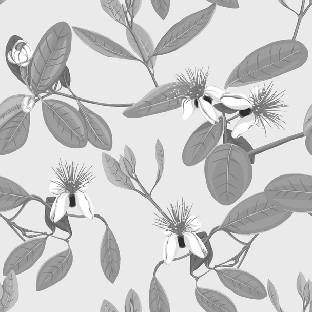 Seamless pattern, background with floral pattern with feijoa blooming flowers - Vetor, Imagem