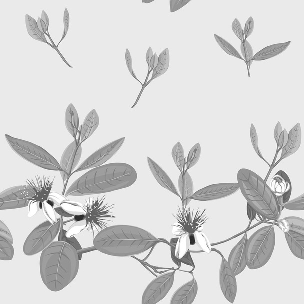Seamless pattern, background with floral pattern with feijoa blooming flowers - Vektor, Bild