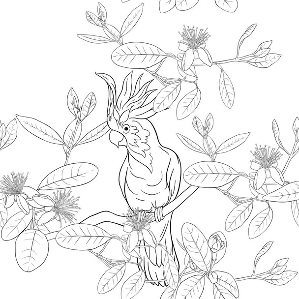 シームレスなパターン、フェイジョア花が咲くと花柄の背景 - ベクター画像