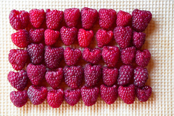 Rote Rosenbeeren Himbeeren auf Waffeln Hintergrund. Süßigkeiten für Vegetarier. umweltfreundliches Dessert. Aktienfotos - Foto, Bild