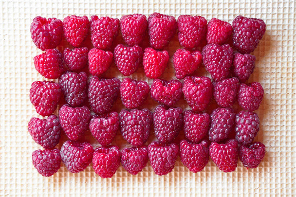 Framboises roses rouges sur fond de gaufrettes. Bonbons pour végétariens. Dessert écologique. Photos de stock
 - Photo, image