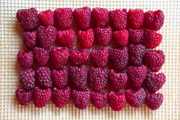 Rote Rosenbeeren Himbeeren auf Waffeln Hintergrund. Süßigkeiten für Vegetarier. umweltfreundliches Dessert. Aktienfotos - Foto, Bild
